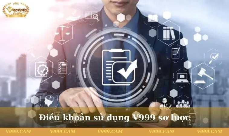 Điều khoản sử dụng V999 sơ lược